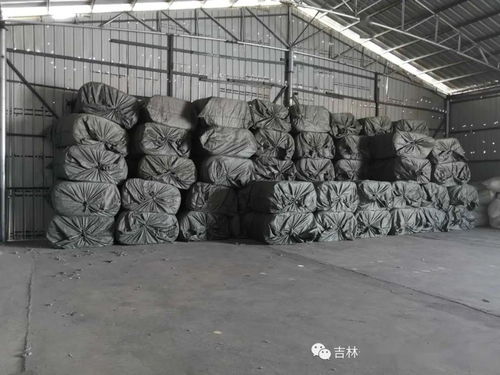 大干一百天 系列报道之十七