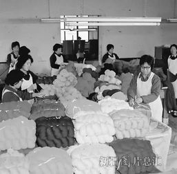 珍藏70年70个精彩瞬间 记录新疆针纺织业的沧桑巨变